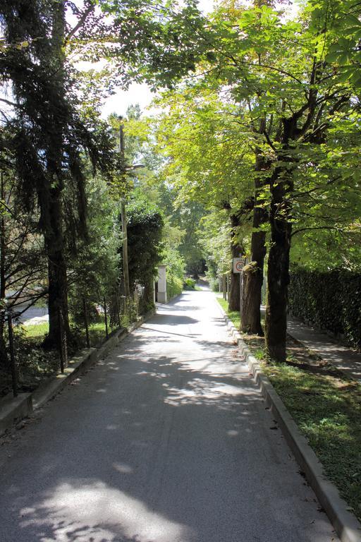 Apartment Villa Vltava Μπλεντ Εξωτερικό φωτογραφία